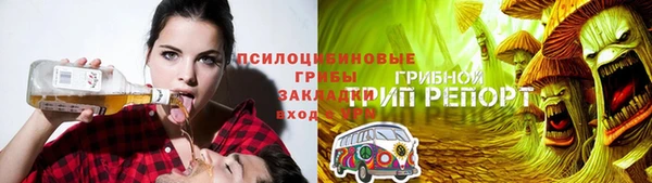 крисы Переславль-Залесский