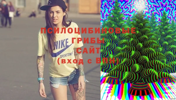 шишки Дмитров