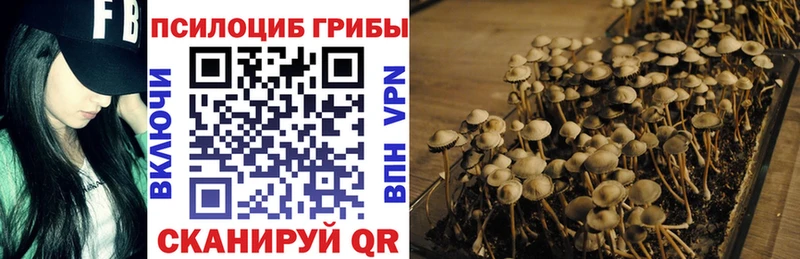 Псилоцибиновые грибы прущие грибы  Аксай 