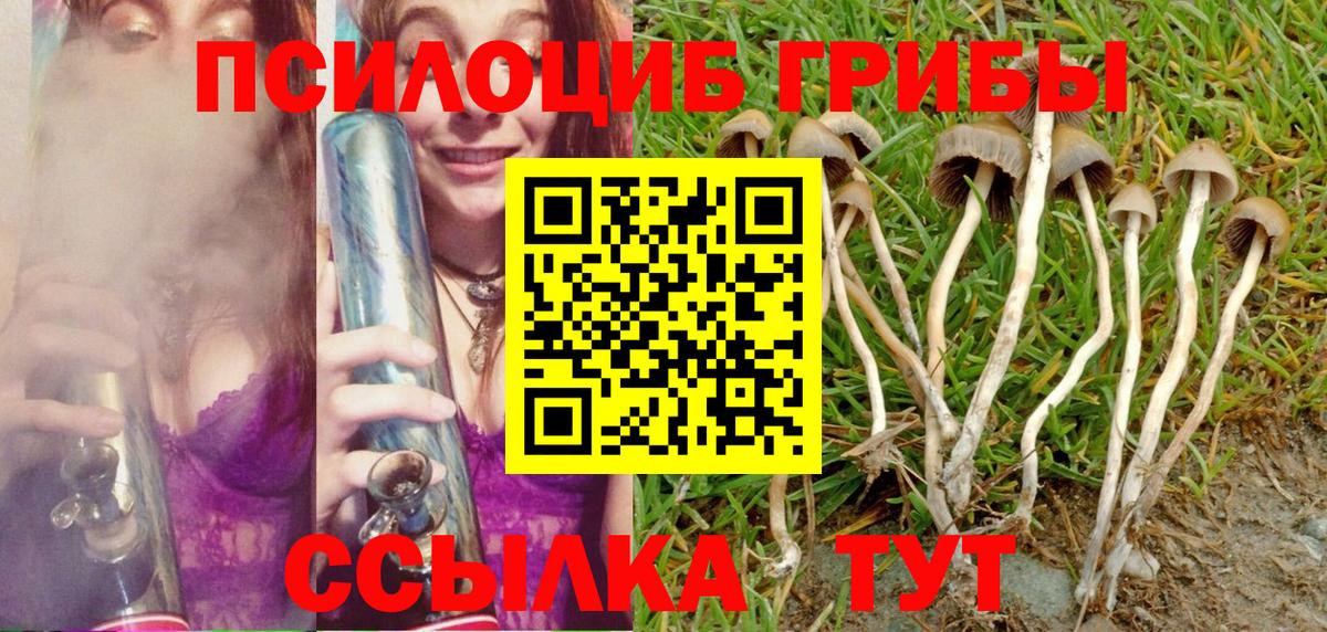 Псилоцибиновые грибы мицелий Аксай