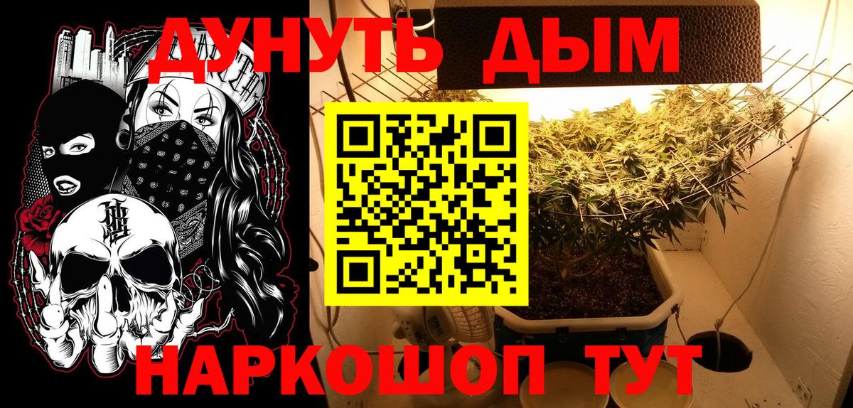 Шишки марихуана гибрид Аксай